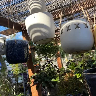 Hanging Pots