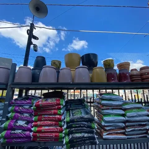 Ceramic and Glazed Pots