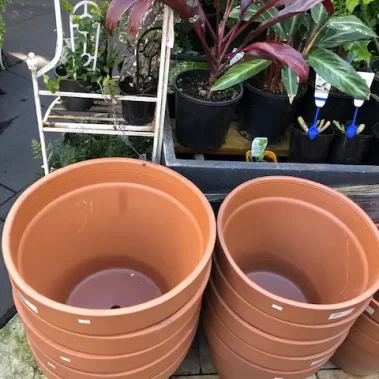 Terracotta Pots