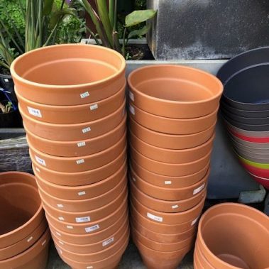 Terracotta Pots